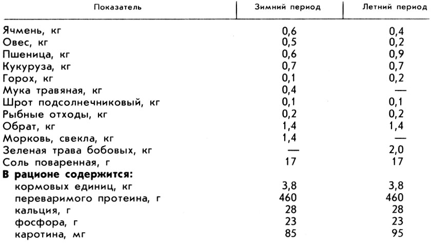 созревание спермиев (спермиогенез) - student2.ru