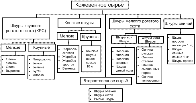 Строение и топография шкуры - student2.ru