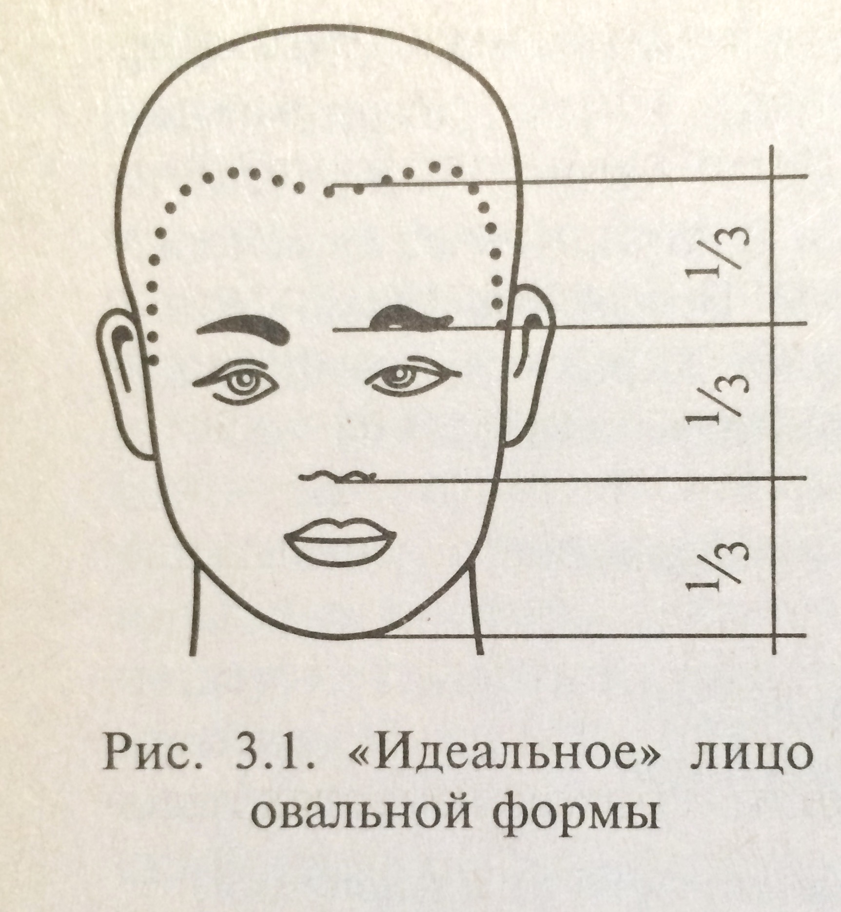 Типы лица. Коррекция формы лица - student2.ru
