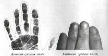 Указательный палец— «зеркало» - student2.ru