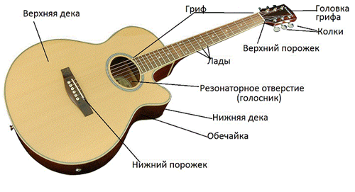 Акустическая / вестерн / фолк гитара - student2.ru