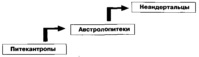 австралопитеки, или первые люди - student2.ru