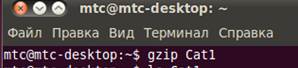 Для чего нужна команда gzip? - student2.ru