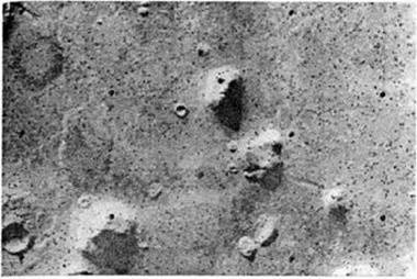 Глава 9. «Лицо на Марсе», Сидония и таинственные 19,5 градусов - student2.ru