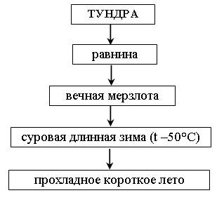 III. Работа над новой темой. Учитель. Цель нашей экспедиции – тундра - student2.ru