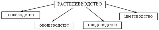 III. Работа над новым материалом. Учитель предлагает послушать стихотворение удмуртского поэта Флора Васильева и ответить на вопрос: «О каких растениях рассказывается в нем?» - student2.ru