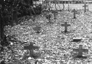 иностранное кладбище (иокогама) росё-фудзё, или внезапная смерть - student2.ru