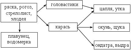 IV. Закрепление изученного материала. 1) Составить 2–3 цепи питания, сложившиеся в водоеме. - student2.ru