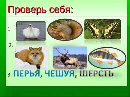 Разрезать картинку на карточки по линиям - student2.ru