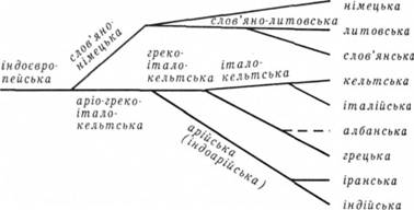 Родовідне дерево А. Шлейхера - student2.ru