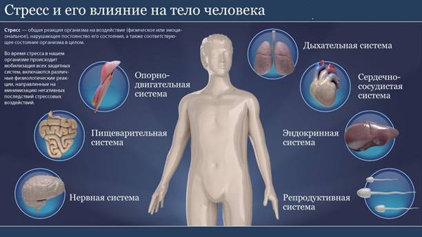 шестой целительный звук - звук тройного обогревателя - student2.ru