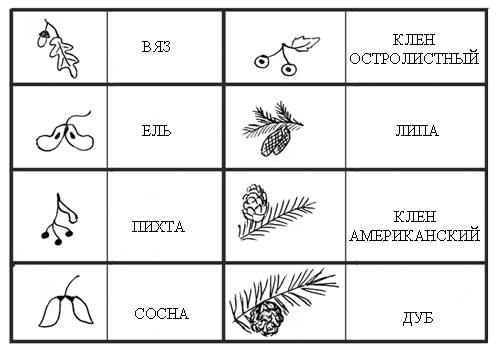 V. Подведение итогов. Выставление оценок. Учащиеся читают вывод на с - student2.ru