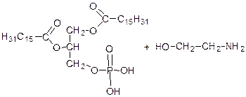 A-кетокислота 2 аминокислота 2 - student2.ru