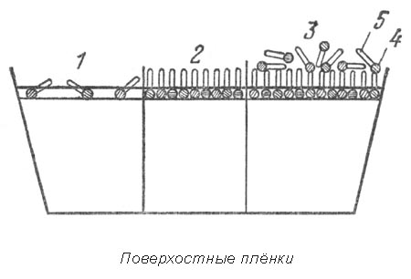 Адсорбция и поверхносное натяжение биологических жидкостей - student2.ru