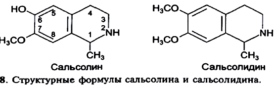 Алкалоидтарды вакуумда және ерігіштігі әр түрлі қосылыстар негізінде бөлу әдістерін қарастару - student2.ru