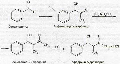 Алкалоиды, производные фенилалкиламинов - student2.ru