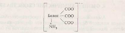 Амфотерные свойства белков - student2.ru