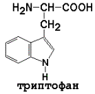 аминокислотный состав белков - student2.ru