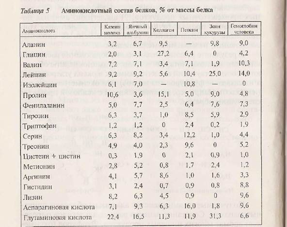 Аминокислотный состав белков - student2.ru