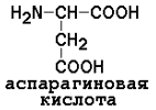 АМИНОКИСЛОТНЫЙ СОСТАВ БЕЛКОВ. Для определения аминокислот, входящих в состав белков, применяют кислотный (НС1), щелочной (Ва(ОН)2) и ферментативный гидролиз - student2.ru