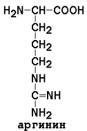 АМИНОКИСЛОТНЫЙ СОСТАВ БЕЛКОВ. Для определения аминокислот, входящих в состав белков, применяют кислотный (НС1), щелочной (Ва(ОН)2) и ферментативный гидролиз - student2.ru