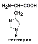 АМИНОКИСЛОТНЫЙ СОСТАВ БЕЛКОВ. Для определения аминокислот, входящих в состав белков, применяют кислотный (НС1), щелочной (Ва(ОН)2) и ферментативный гидролиз - student2.ru