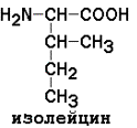 АМИНОКИСЛОТНЫЙ СОСТАВ БЕЛКОВ. Для определения аминокислот, входящих в состав белков, применяют кислотный (НС1), щелочной (Ва(ОН)2) и ферментативный гидролиз - student2.ru