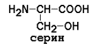 АМИНОКИСЛОТНЫЙ СОСТАВ БЕЛКОВ. Для определения аминокислот, входящих в состав белков, применяют кислотный (НС1), щелочной (Ва(ОН)2) и ферментативный гидролиз - student2.ru