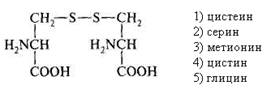 аминокислоты аргинин и лизин составляют - student2.ru