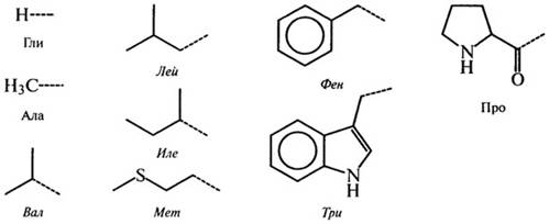 аминокислоты и их некоторые функции в организме - student2.ru