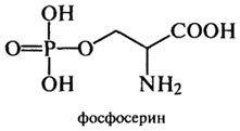 аминокислоты и их некоторые функции в организме - student2.ru