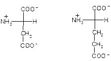 Аминокислоты с отрицательно заряженными R-группами - student2.ru