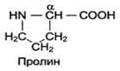 Аминокислоты,входящие в состав белков,их строение и свойства. Пептидная связь. Первичная структура белков. Зависимость биологических свойств от первичной структкры. - student2.ru