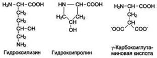 Аминокислоты,входящие в состав белков,их строение и свойства. Пептидная связь. Первичная структура белков. Зависимость биологических свойств от первичной структкры. - student2.ru