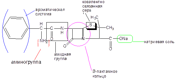 Ампициллина натриевая соль (Ampicillinum-natrium)(не ГФХ) - student2.ru