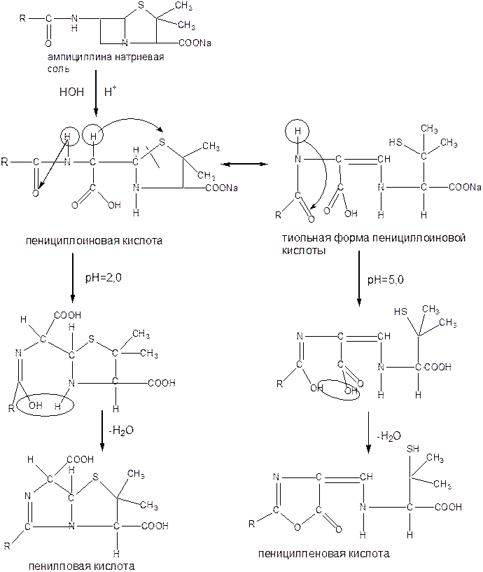 Ампициллина натриевая соль (Ampicillinum-natrium)(не ГФХ) - student2.ru