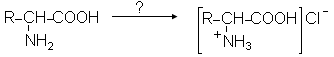 AN механизмі бойынша этанолды алу үшін мына субстраттар мен реагенттер қажет хлорэтан NaOH - student2.ru