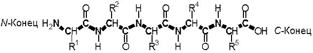 Анализ аминокислотной последовательности в пептидах - student2.ru