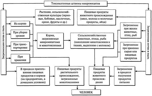 антиалиментарные факторы питания - student2.ru