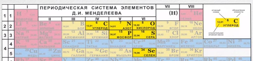 Атомно-молекулярное учение – теоретический фундамент химии - student2.ru