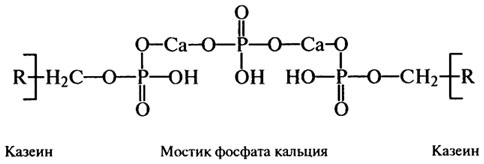 Белки картофеля, овощей и плодов - student2.ru