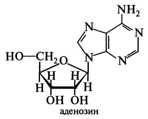 БЕЛКИ. нуклеиновые кислоты - student2.ru