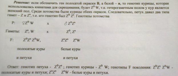 Билет № 20. 3. Решите задачу на сцепленные с полом признаки - student2.ru