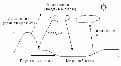 Биогеохимический цикл углерода. - student2.ru