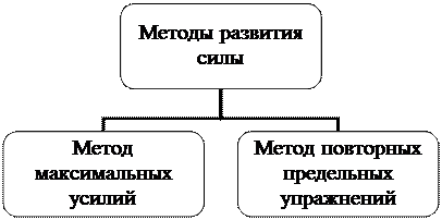 Биохимическая характеристика скоростно-силовых качеств - student2.ru