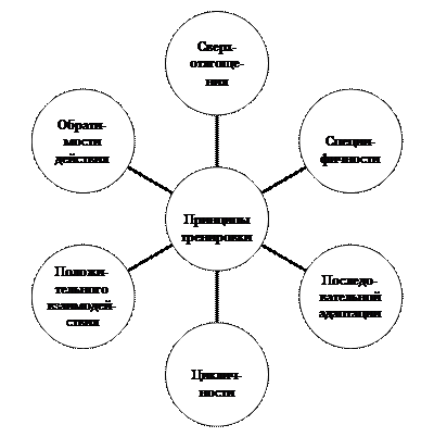 Биохимическая характеристика скоростно-силовых качеств - student2.ru