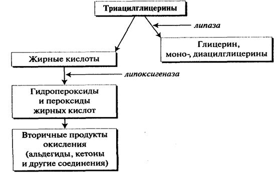 Биохимические и физико-химические изменения жиров в процессе переработки и хранения - student2.ru