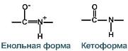 Аминокислоты с полярными положительно заряженными радикалами. - student2.ru