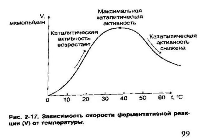 Ферменты, их химическая природа, структурная организация, свойства. Сходство и отличия ферментов и небелковых катализаторов. - student2.ru