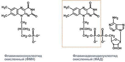 Биохимия, ее задачи, значение биохимии для медицины. - student2.ru